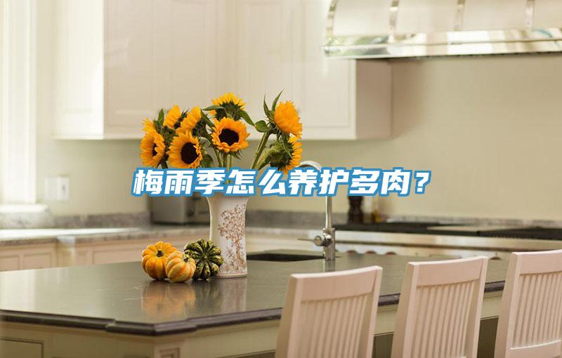 梅雨季怎么養(yǎng)護(hù)多肉？