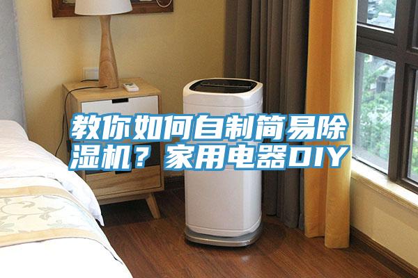 教你如何自制簡(jiǎn)易除濕機(jī)？家用電器DIY