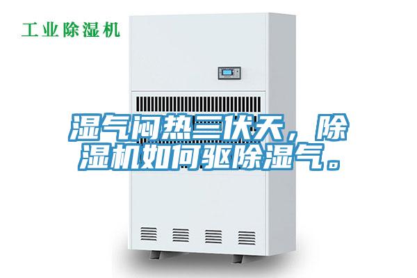 濕氣悶熱三伏天，除濕機(jī)如何驅(qū)除濕氣。