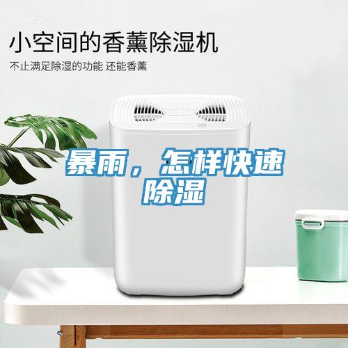 暴雨，怎樣快速除濕