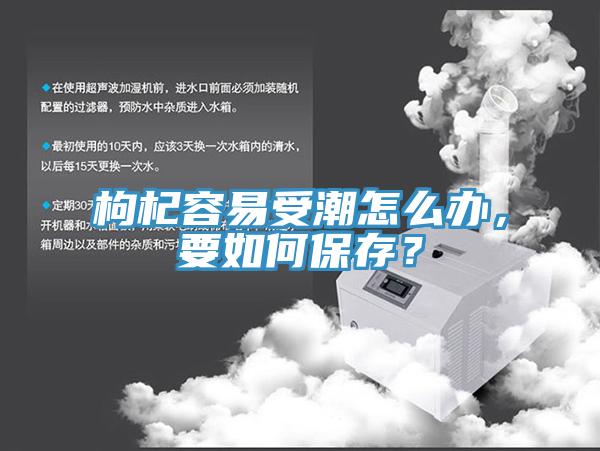 枸杞容易受潮怎么辦，要如何保存？