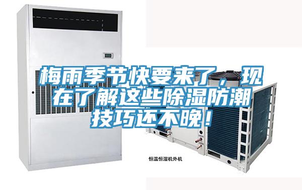 梅雨季節(jié)快要來(lái)了，現(xiàn)在了解這些除濕防潮技巧還不晚！