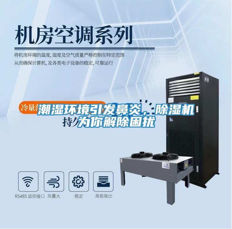潮濕環(huán)境引發(fā)鼻炎，除濕機為你解除困擾