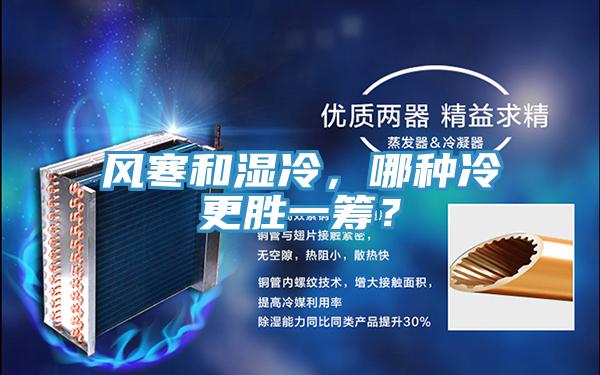 風(fēng)寒和濕冷，哪種冷更勝一籌？