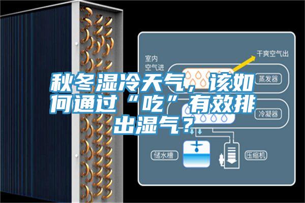 秋冬濕冷天氣，該如何通過(guò)“吃”有效排出濕氣？