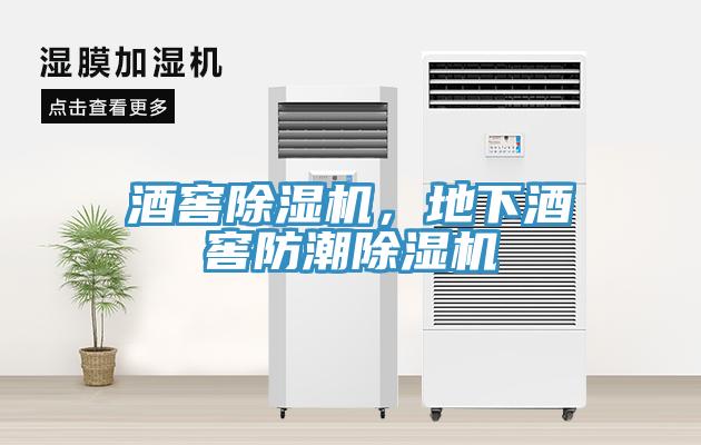 酒窖除濕機(jī)，地下酒窖防潮除濕機(jī)