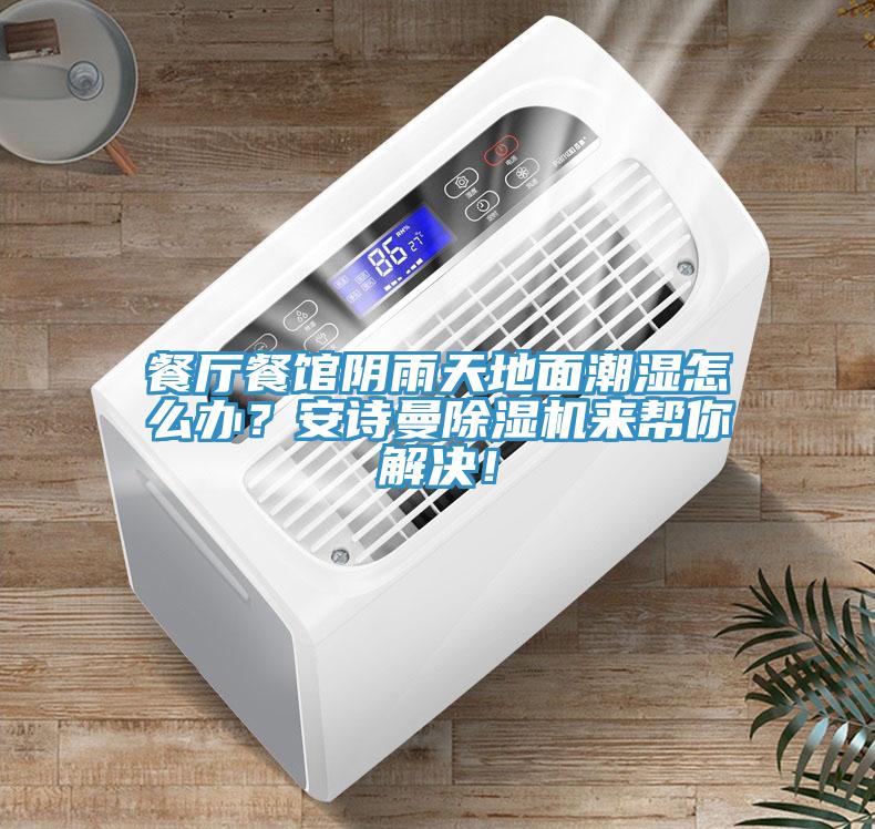 餐廳餐館陰雨天地面潮濕怎么辦？安詩曼除濕機來幫你解決！