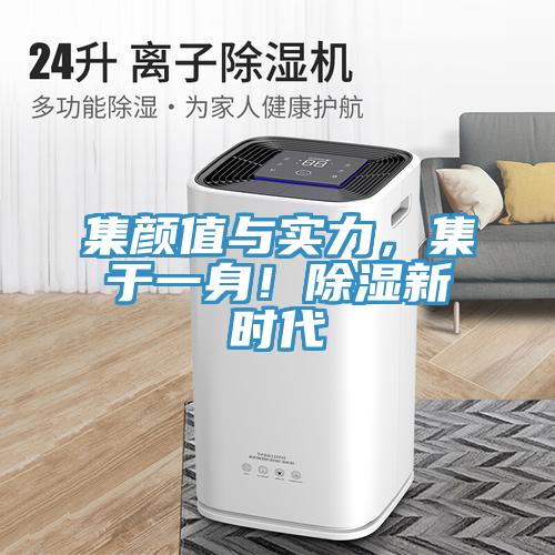 集顏值與實(shí)力，集于一身！除濕新時(shí)代
