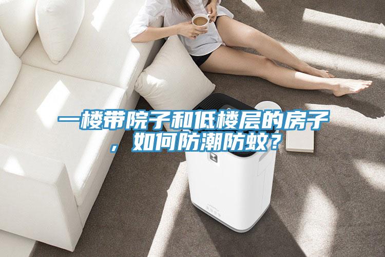 一樓帶院子和低樓層的房子，如何防潮防蚊？