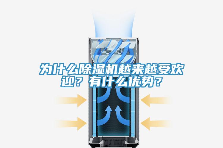 為什么除濕機(jī)越來越受歡迎？有什么優(yōu)勢(shì)？