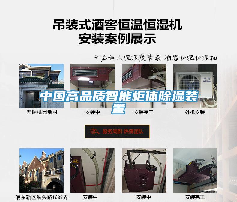 中國高品質(zhì)智能柜體除濕裝置