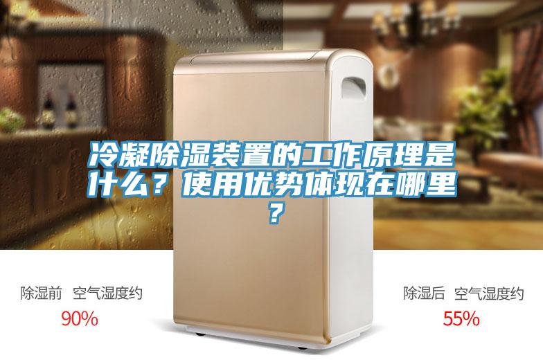 冷凝除濕裝置的工作原理是什么？使用優(yōu)勢(shì)體現(xiàn)在哪里？