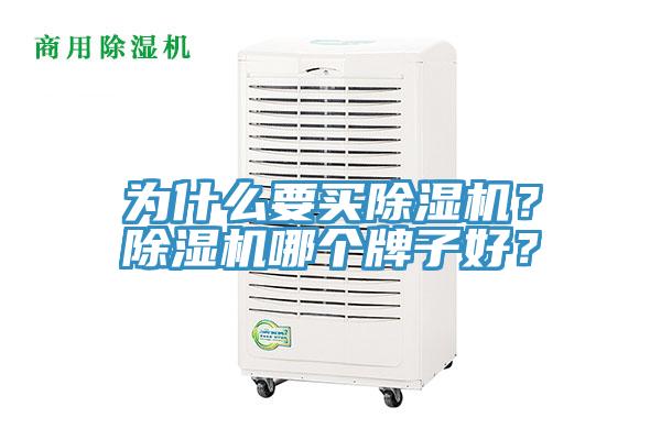 為什么要買除濕機(jī)？除濕機(jī)哪個(gè)牌子好？