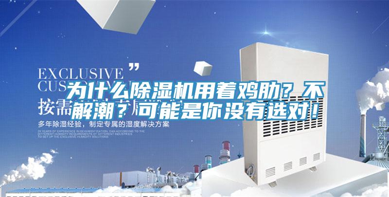 為什么除濕機(jī)用著雞肋？不解潮？可能是你沒有選對(duì)！