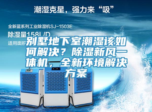 別墅地下室潮濕該如何解決？除濕新風(fēng)一體機(jī)，全新環(huán)境解決方案