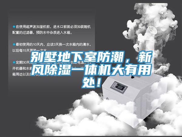 別墅地下室防潮，新風(fēng)除濕一體機(jī)大有用處！
