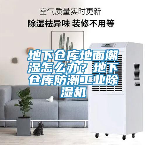 地下倉庫地面潮濕怎么辦？地下倉庫防潮工業(yè)除濕機(jī)