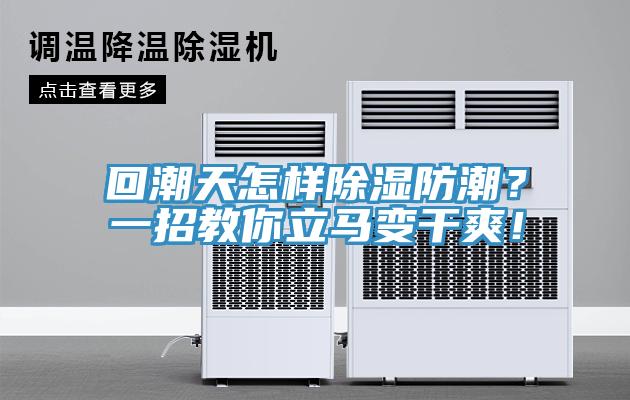 回潮天怎樣除濕防潮？一招教你立馬變干爽！