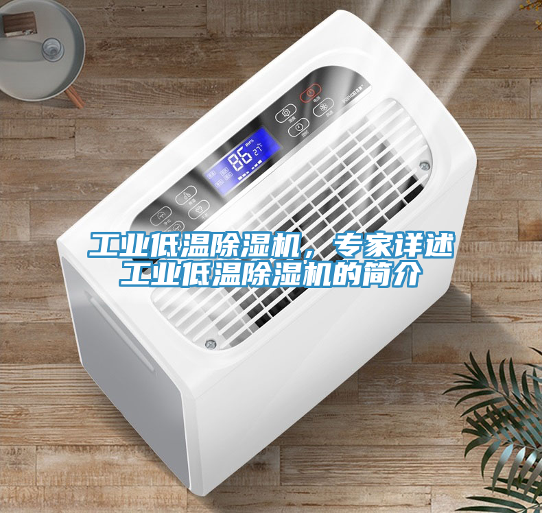 工業(yè)低溫除濕機，專家詳述工業(yè)低溫除濕機的簡介