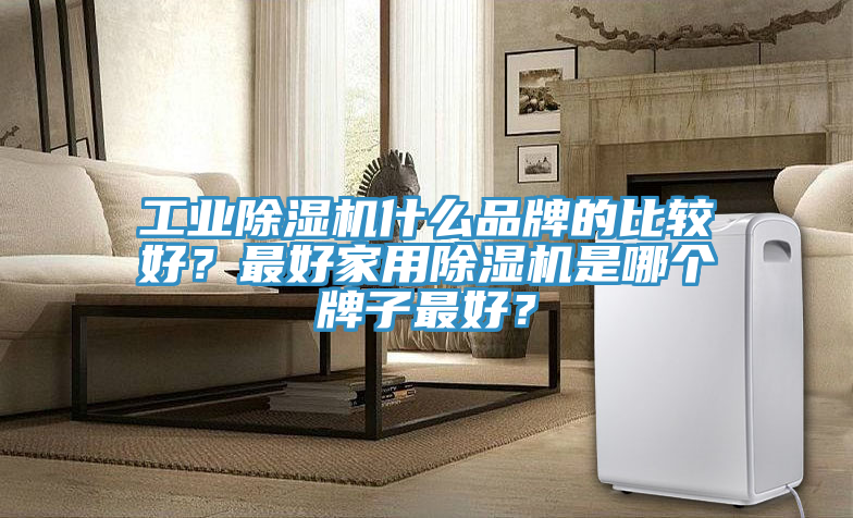 工業(yè)除濕機什么品牌的比較好？最好家用除濕機是哪個牌子最好？