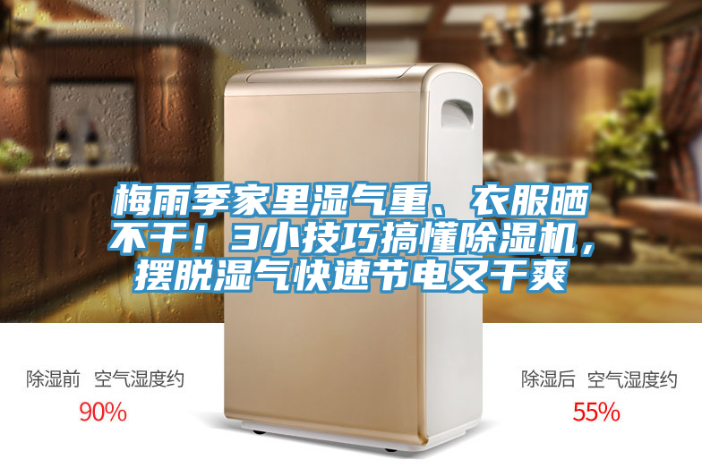 梅雨季家里濕氣重、衣服曬不干！3小技巧搞懂除濕機，擺脫濕氣快速節(jié)電又干爽