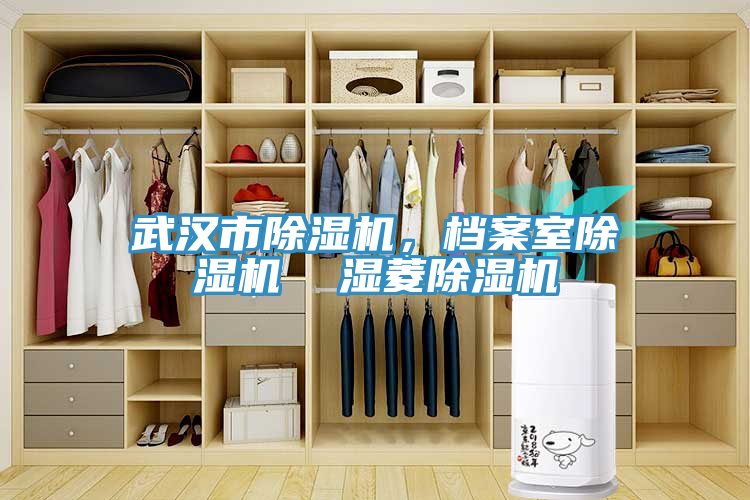 武漢市除濕機，檔案室除濕機  濕菱除濕機