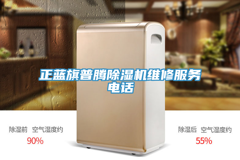 正藍(lán)旗普騰除濕機(jī)維修服務(wù)電話(huà)
