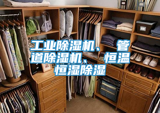 工業(yè)除濕機(jī)、 管道除濕機(jī)、 恒溫恒濕除濕
