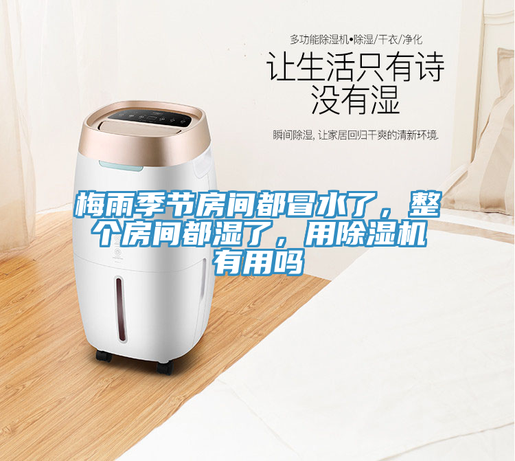 梅雨季節(jié)房間都冒水了，整個房間都濕了，用除濕機有用嗎