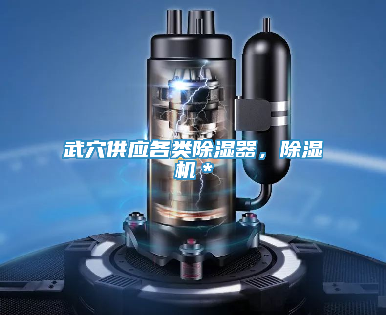 武穴供應(yīng)各類除濕器，除濕機＊