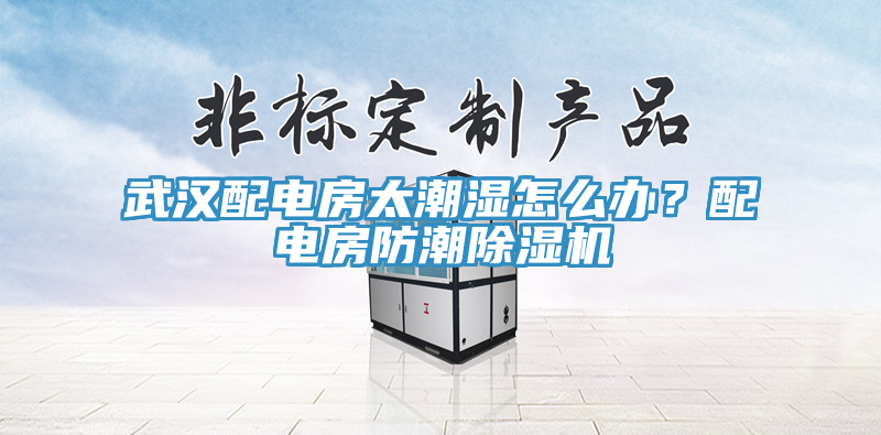 武漢配電房太潮濕怎么辦？配電房防潮除濕機