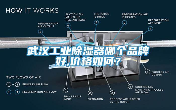 武漢工業(yè)除濕器哪個品牌好,價格如何？