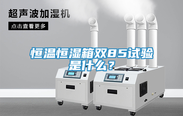 恒溫恒濕箱雙85試驗(yàn)是什么？