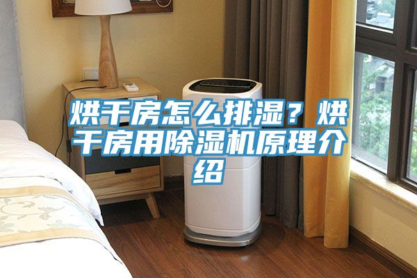 烘干房怎么排濕？烘干房用除濕機(jī)原理介紹