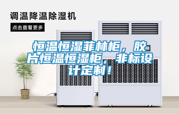 恒溫恒濕菲林柜，膠片恒溫恒濕柜，非標(biāo)設(shè)計(jì)定制！