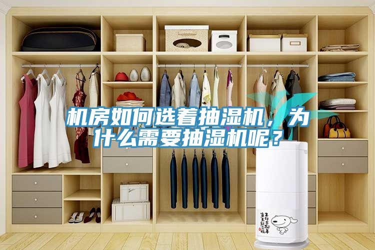 機(jī)房如何選著抽濕機(jī)，為什么需要抽濕機(jī)呢？