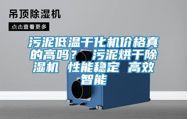 污泥低溫干化機價格真的高嗎？ 污泥烘干除濕機 性能穩(wěn)定 高效智能