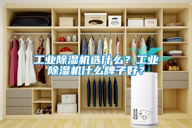工業(yè)除濕機(jī)選什么？工業(yè)除濕機(jī)什么牌子好？