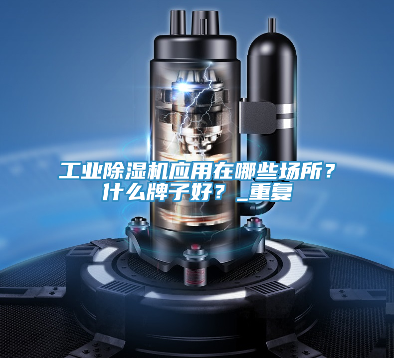 工業(yè)除濕機(jī)應(yīng)用在哪些場(chǎng)所？什么牌子好？_重復(fù)