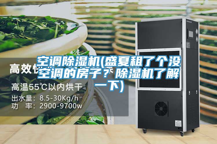 空調(diào)除濕機(盛夏租了個沒空調(diào)的房子？除濕機了解一下)