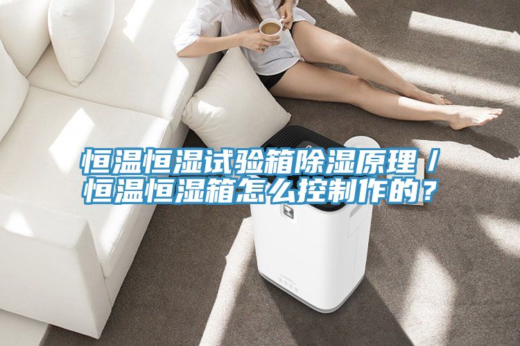 恒溫恒濕試驗(yàn)箱除濕原理／恒溫恒濕箱怎么控制作的？