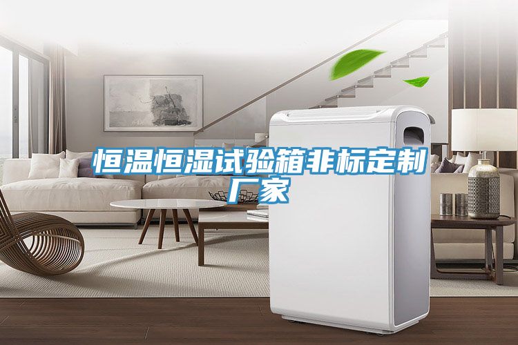 恒溫恒濕試驗(yàn)箱非標(biāo)定制廠(chǎng)家