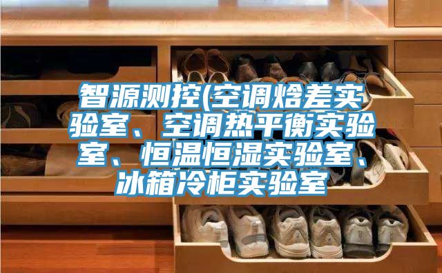 智源測(cè)控(空調(diào)焓差實(shí)驗(yàn)室、空調(diào)熱平衡實(shí)驗(yàn)室、恒溫恒濕實(shí)驗(yàn)室、冰箱冷柜實(shí)驗(yàn)室