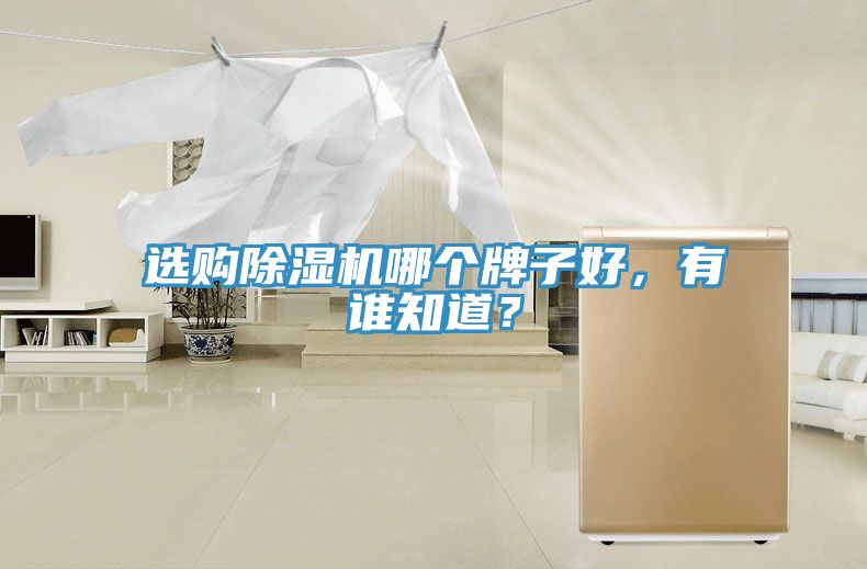 選購除濕機哪個牌子好，有誰知道？