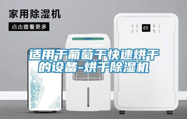 適用于葡萄干快速烘干的設(shè)備-烘干除濕機