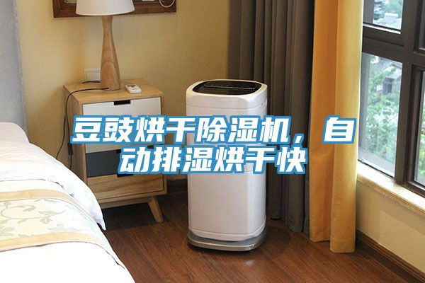 豆豉烘干除濕機，自動排濕烘干快
