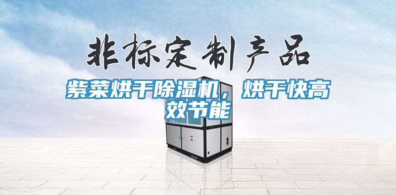 紫菜烘干除濕機，烘干快高效節(jié)能