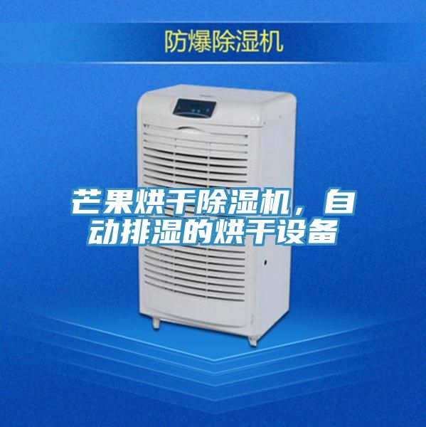 芒果烘干除濕機(jī)，自動(dòng)排濕的烘干設(shè)備