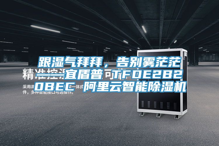 跟濕氣拜拜，告別霧茫茫——宜盾普 TFDE2B20BEC 阿里云智能除濕機(jī)