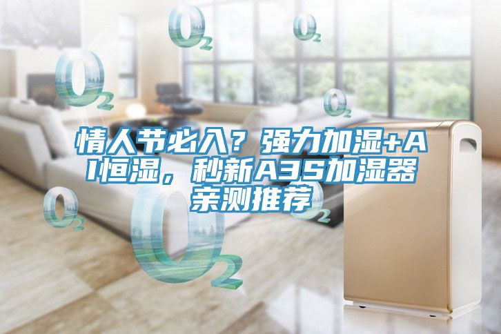 情人節(jié)必入？強力加濕+AI恒濕，秒新A3S加濕器親測推薦